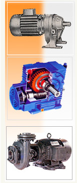 Gear motor,AC DC Motor,Flameproof motor,pumps   