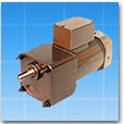 FHP & Geared Motors