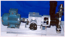Diaphragm Type Metering Pump