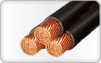 LT / PVC / XLPE Power and Control Cables