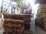 Wood Pallets