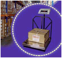 Platform Scales