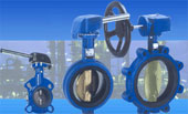 Valves