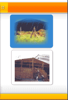 Monsoon Sheds, Cotton Canvas Tarpaulins, Poly Tarpaulins