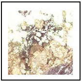Molochite