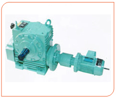 Worm Gear Boxes / Geared Motors