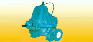 EDS-Pumps