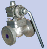 Cast Steel Blow Down Valves