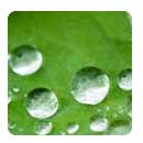 Rain Water Harvesting