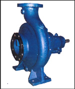 Model DBS pumps