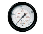Pressure Gauges
