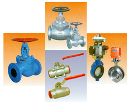 Gate Globe Valve, Check Valves, Ball Valves, Butterfly Valves, Gate Valves, Plug Valve, Flush Bottom valve, Safety Relief Valve, Foot Valve
