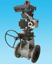 Ball Valve with Rotary Actuator