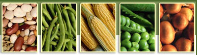 Process Equipments, Food Processing, Chemical Processing, Pharma Processing, Agriculture Processing, Fruits Processing, Vegetables Processing