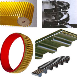 TIMING BELTS