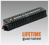 Cfl Adaptor