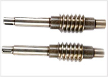 WORM AND WORM SHAFT