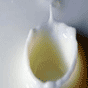 Milk Plants Chemicals