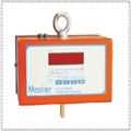 0079888a_master_hanging_scale
