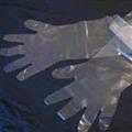 017fb1f9_disposable-polyethylene-or-veterinary-hand-gloves