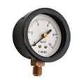 0444ce3d_standard-economy-gauge