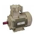 049a55af_flamproof-motor