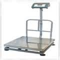 080279a1_master_platform_scale
