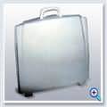 087adcf8_vip1
