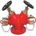 096b182a_Hydrant1