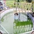 09dd6418_secondary-clarifier