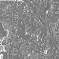 0be1e2c9_molecular-disintegration