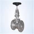 0ef7925e_cast-steel-globe-valve