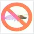 0f2c7018_termite-proof