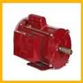 170e4269_Flame_Proof_Motor
