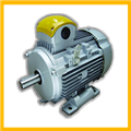 1859e278_crane-duty-motors