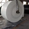 26ba1355_food-grade-conveyor-belts-1