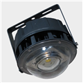 29a60ea1_30w-60w-multi-led-wellglass