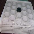 2a9a6480_industrial-pallet-tray