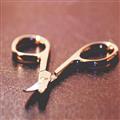 2b4250bb_martensitic