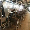 2f0ccf32_coconut-water-and-milk-processing-plants
