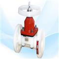 31355905_diaphragm-valve6