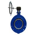 367836b7_double-flanged-butterfly-valves-1