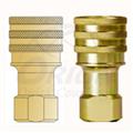 3a388c2f_double-check-valve