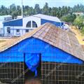 3ee742d2_monsoon-shed-3