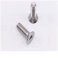 3f8d8e70_hexagon--Socket-Countersunk-Head-Cap-Screws