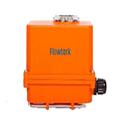 41ed0cae_single-phase-quarter-turn-electrical-actuator-models1