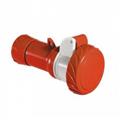 42115686_wander-sockets1