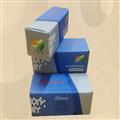 42a01d7c_rechargeable-batterys