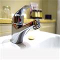 47ac568a_Descaler-for-CP-bathroom-fittings