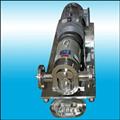 4cdf2724_S.S-twin-lobe-pump